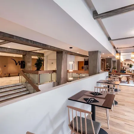 Mercure Centre Alpotel מלון גרנובל