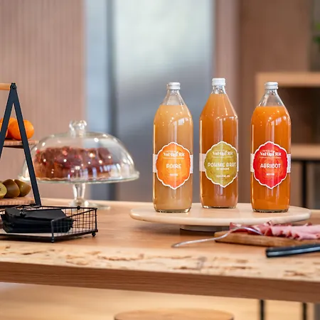 Mercure Centre Alpotel Hotel Grenoble